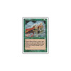 Wood Elves