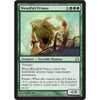 Woodfall Primus