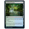 Woodland Stream