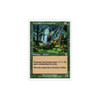 Yavimaya Enchantress