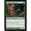 Yavimaya Enchantress (foil) | 9th Edition