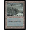 Swamp