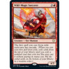 Wild-Magic Sorcerer