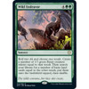 Wild Endeavor