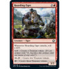 Hoarding Ogre (foil)