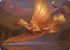 Adventures in the Forgotten Realms Art Card: Adult Gold Dragon | Adventures in the Forgotten Realms