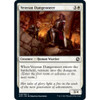 Veteran Dungeoneer