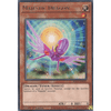 KICO-EN032 Majestic Dragon