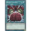 EGO1-EN023 Brain Control