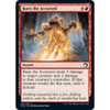 Burn the Accursed