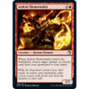 Ardent Elementalist (foil)