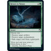 Return to Nature (foil)
