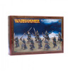 Warhammer Age of Sigmar - High Elves: Shadow Warriors