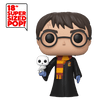 POP! Harry Potter - Harry with Hedwig 18-Inch