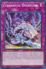 SDCS-EN040 Cybernetic Overflow