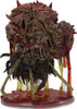 Boneyard - Sibriex (#42)