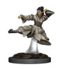 D&D Icons of the Realms Premium Figures: Human Monk Female (Wave 4)