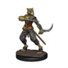 D&D Icons of the Realms Premium Figures: Tabaxi Rogue Male (Wave 4)