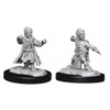 Pathfinder Battles Deep Cuts - Halfing Monk Male (90328)