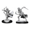 D&D Nolzur's Marvelous Miniatures - Air Genasi Female Rogue (90305)