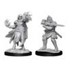 D&D Nolzur's Marvelous Unpainted Miniatures: Hobgoblin Fighter Male&Hobgoblin Wizard Female (Wave 15)