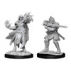 D&D Nolzur's Marvelous Miniatures - Hobgoblin Male Fighter & Hobgoblin Female Wizard (90310)