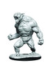 Critical Role Unpainted Miniatures - Aeorian Reverser (90371)