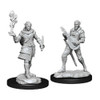 Critical Role Unpainted Miniatures (Wave 1) - Pallid Elf Rogue and Bard Male