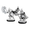 Critical Role Unpainted Miniatures (Wave 1) - Hobgoblin Wizard and Druid Male