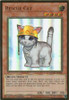 MGED-EN006 Rescue Cat