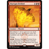 Skarrgan Firebird