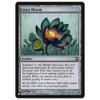 Lotus Bloom (The List Reprint)