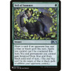 Veil of Summer (The List Reprint)