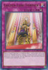 MGED-EN128 Golden Land Forever!