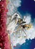 Myojin of Blooming Dawn Art Card (#33)