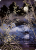 Swamp Art Card (#81)