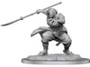 D&D Nolzur's Marvelous Miniatures - Oni Female (90490)