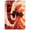 Strixhaven: School of Mages Art Card: Crackle with Power (Gold Signature)