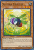 HAC1-EN106 Naturia Fruitfly