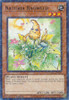 HAC1-EN114 Naturia Ragweed (Duel Terminal Normal Parallel Rare)