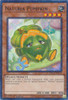 HAC1-EN117 Naturia Pumpkin (Duel Terminal Normal Parallel Rare)
