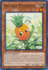 HAC1-EN118 Naturia Pineapple
