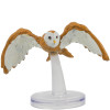 Wild Shape & Polymorph - Owl (#9)