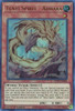 GFP2-EN083 Tenyi Spirit - Adhara