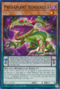 DIFO-EN018 Predaplant Bufolicula