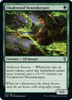 Cloakwood Swarmkeeper (foil)