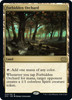 Forbidden Orchard (foil)