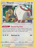 Pokemon GO 060/078 Bibarel
