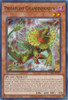 LDS3-EN071 Predaplant Chlamydosundew