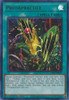 LDS3-EN079 Predapractice (Gold)